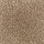 Aladdin Carpet: Classical Design I 12' Desert Mud